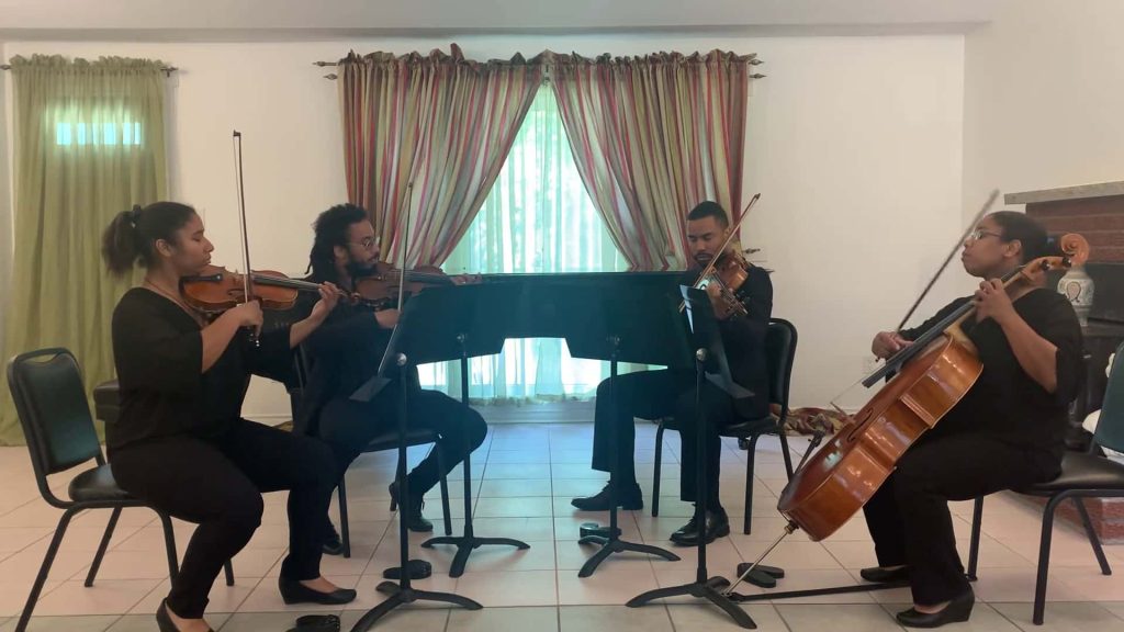 Weddings Rousseau String Quartet • Ottawa Based Musicians